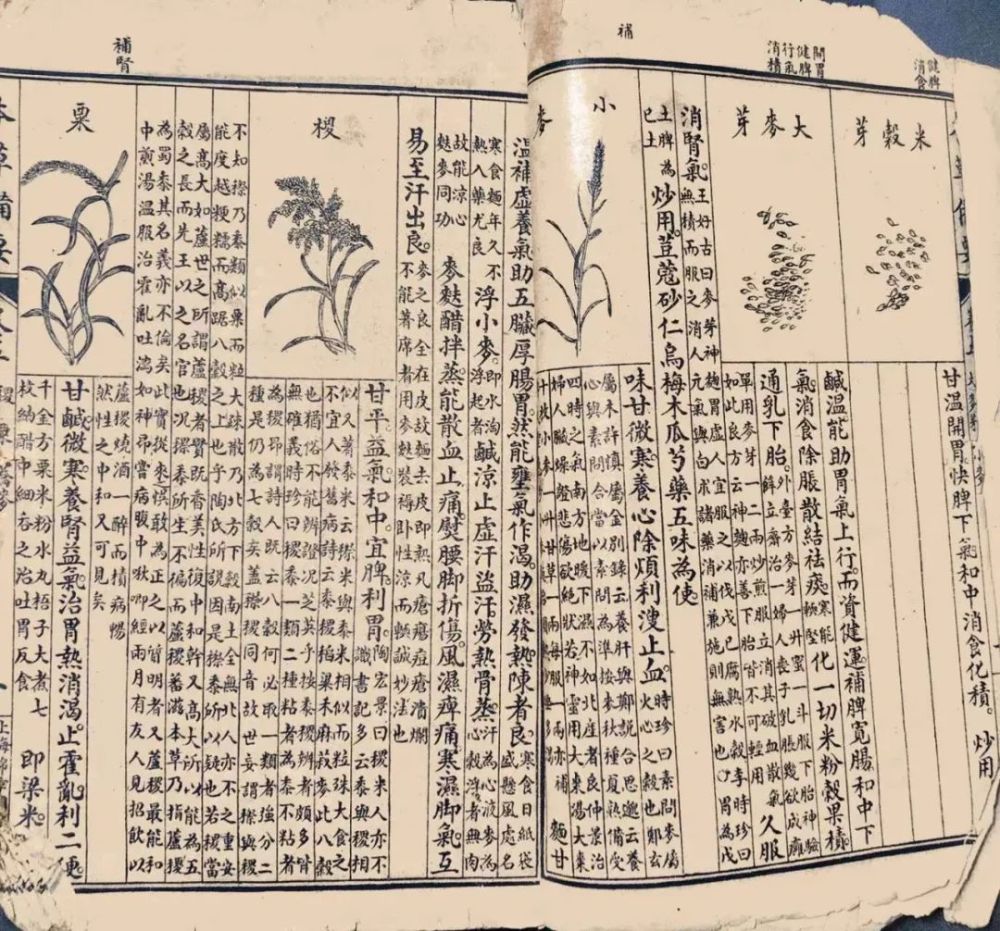 本草备要年代医书