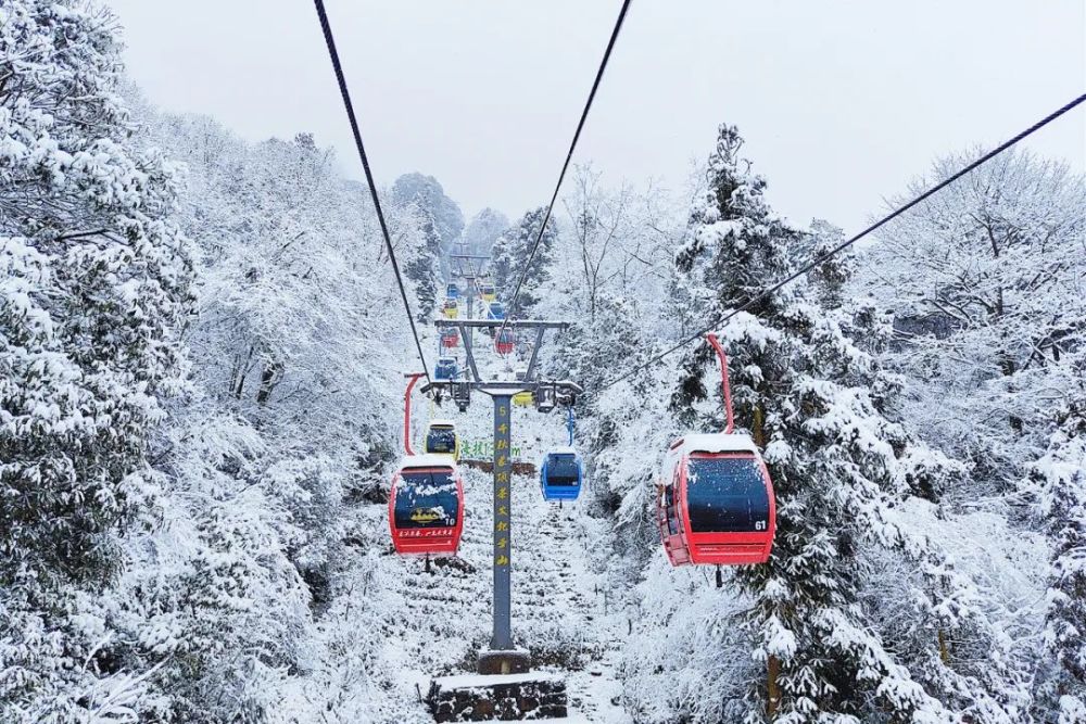 浓浓年味配美美雪景这些雅安雪景图哪张让你心动了