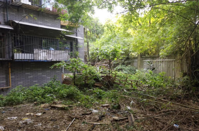 老旧小区改造工程让城市变样丨新春走基层|成都|贾刘强|浣花溪公园