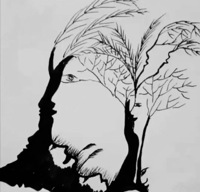 心理测试图中不仅有树还有11张人脸你找到了几张测你哪方面更红火