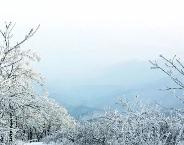 9元!金顶山诚邀您看雪景,观云海,赏雾凇