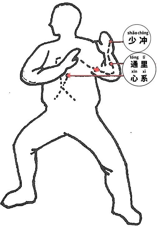 手少阴心经依手少阴心经,由腋下,沿上臂内侧后缘