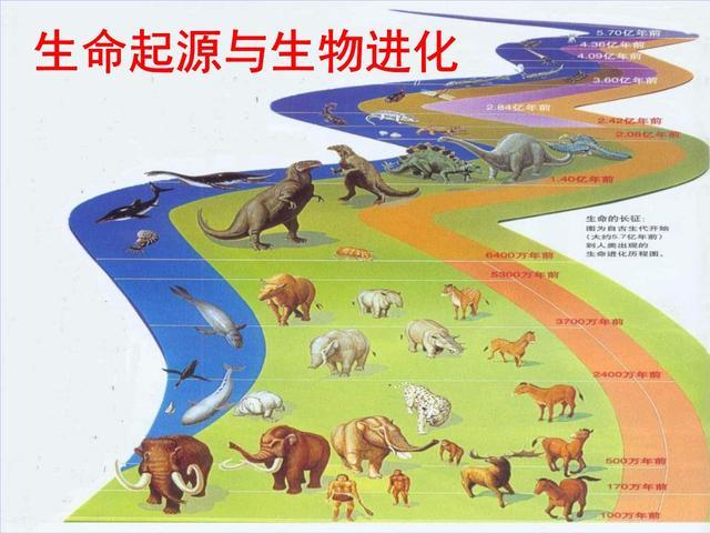 生物进化史纪录片图片