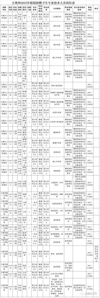 大理招聘_2022年大理市第一人民医院编外合同制工作人员招聘公告(2)