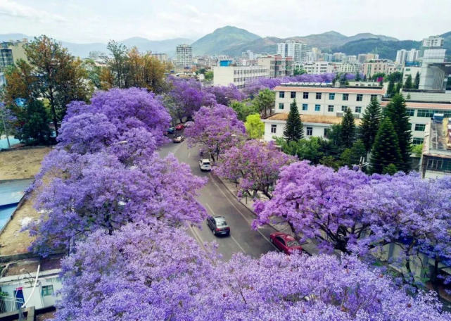 西昌：四川的理想养老城市，冬暖夏凉，历史悠久，被誉为月光城