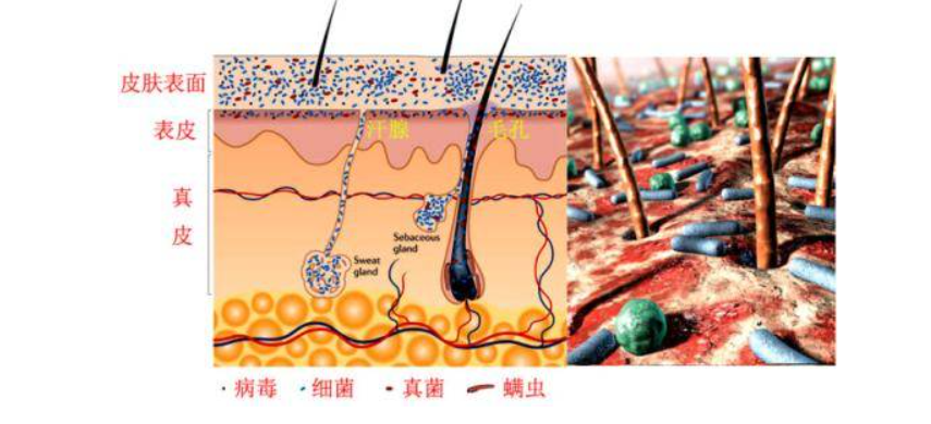 身后的眼睛赏析假期看得见建议选手提供保供欧美女子卖淫嫖娼