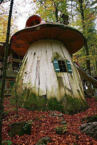 用蘑菇盖的房子,你见过吗?