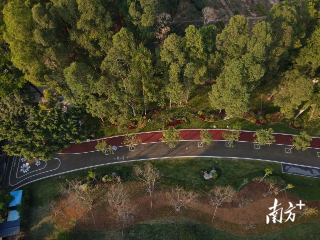 8千米的绿道,串联黄旗山公园,东城体育公园,儿童公园,横岭村,网球中心