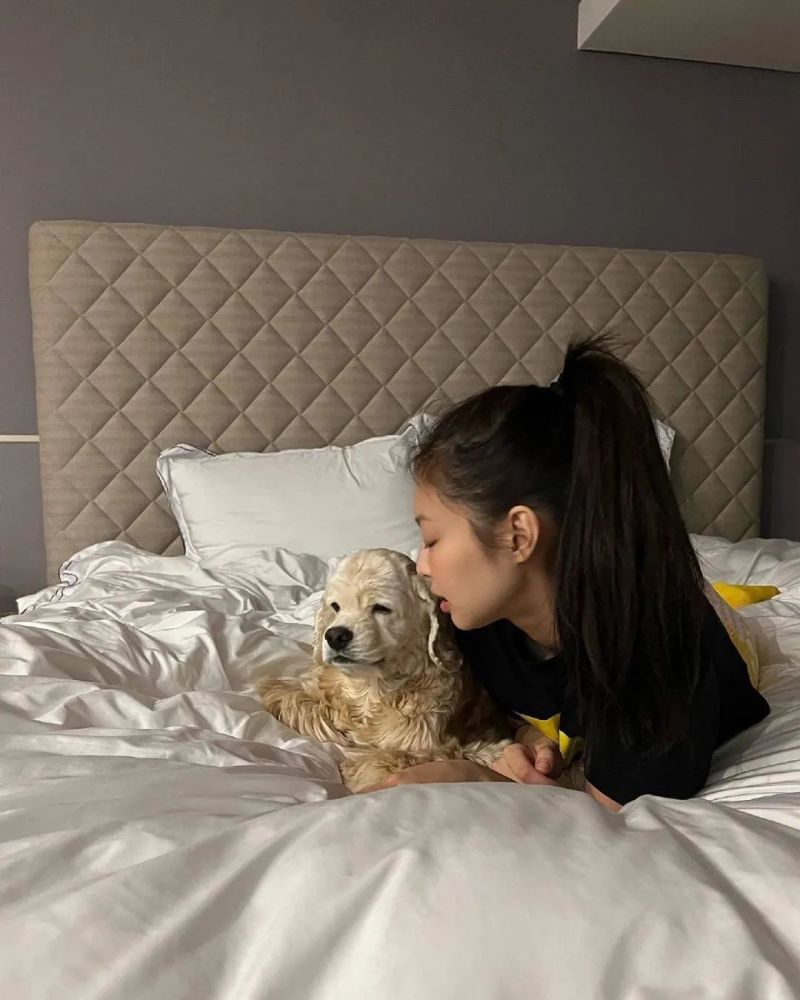 jennie与她的笑狗温馨的一家三口