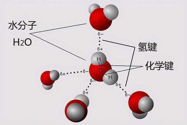如果从微观世界上来看,"晶核"本质上是一种空间的六方晶格结构,水分子
