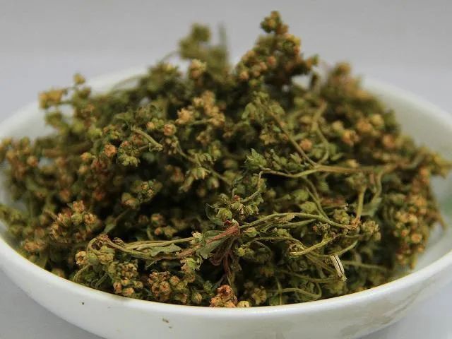 赶黄草的功效与作用赶黄草的正确吃法
