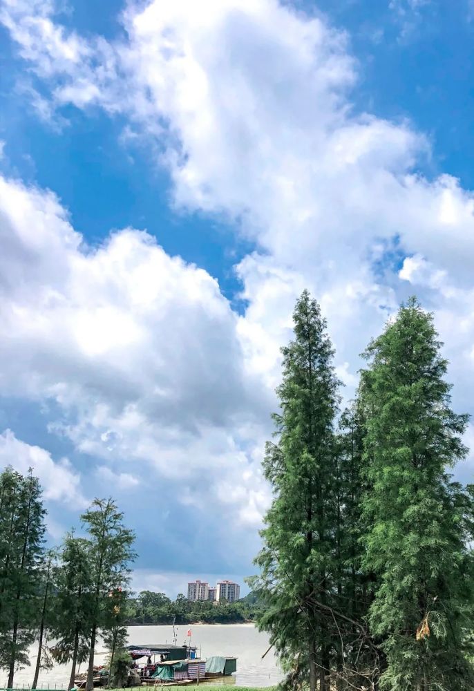 回南天來襲增城溫度逐漸回暖連續降雨升溫未來一周天氣將