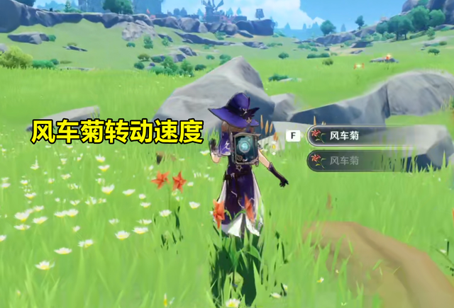 原神米哈游有多细节琉璃百合花苞夜晚绽放白天花苞合拢