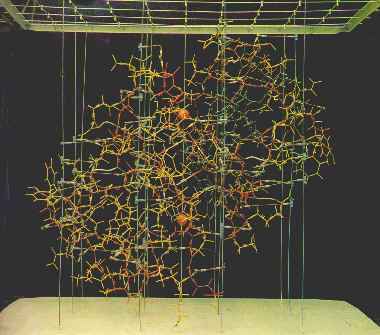 结晶牛胰岛素我国唯一一次离诺贝尔奖最近最终为何失之交臂
