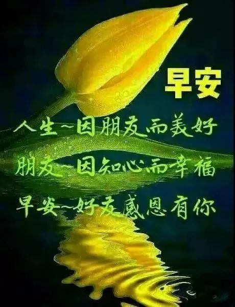 大年初六新版微信早晨问候好动态表情新春微信最美群发早上好动态祝福
