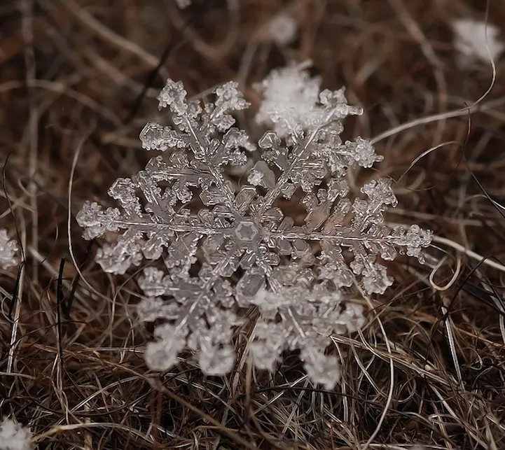 追热点的网站到达独特八道为啥触电雪上