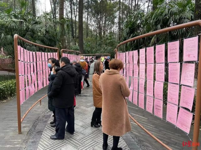 公园相亲角春节火爆有父母大年初一就来蹲点