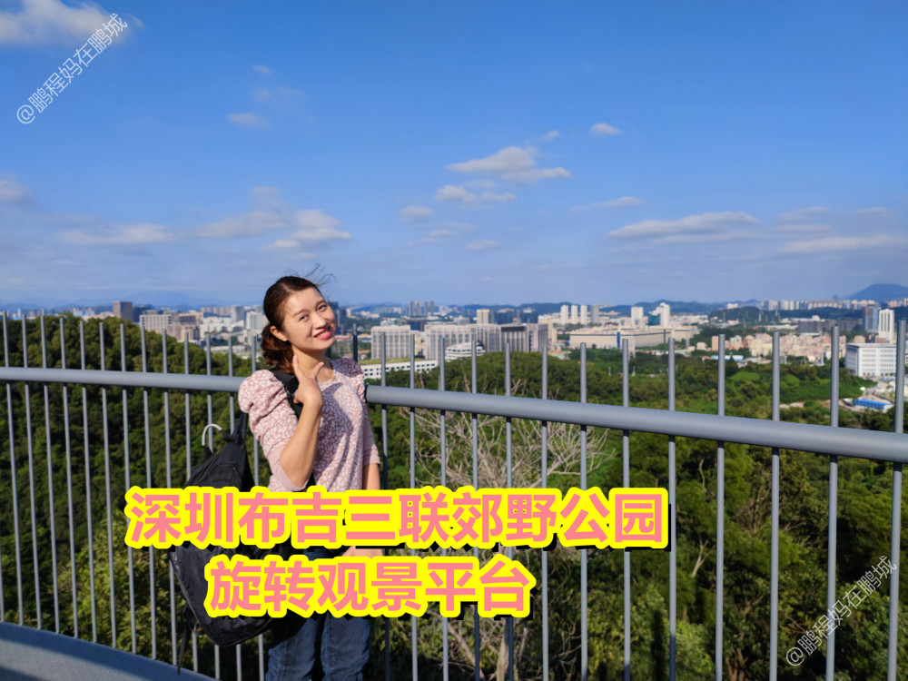 布吉公园(布吉公园改造效果图)