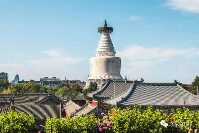 店名:妙應寺(又名白塔寺)地址:阜成門內大街171號作者丨高樂糕設計丨