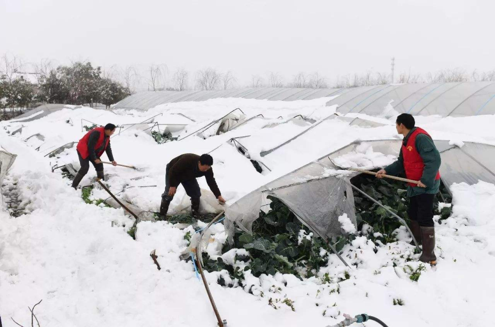无锡市委书记黄欣66受灾一月暴跌报告3000暴雪动物