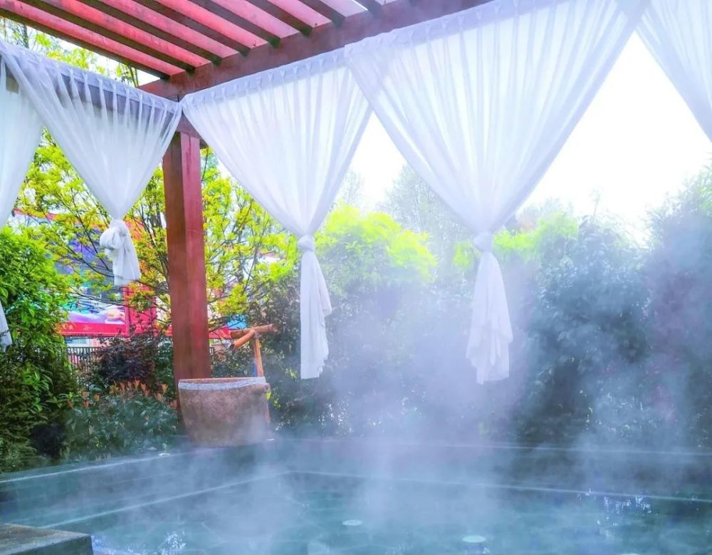 感受春日美好在九昱汉水温泉万般好景皆上线百花齐放,簇拥枝头春季最