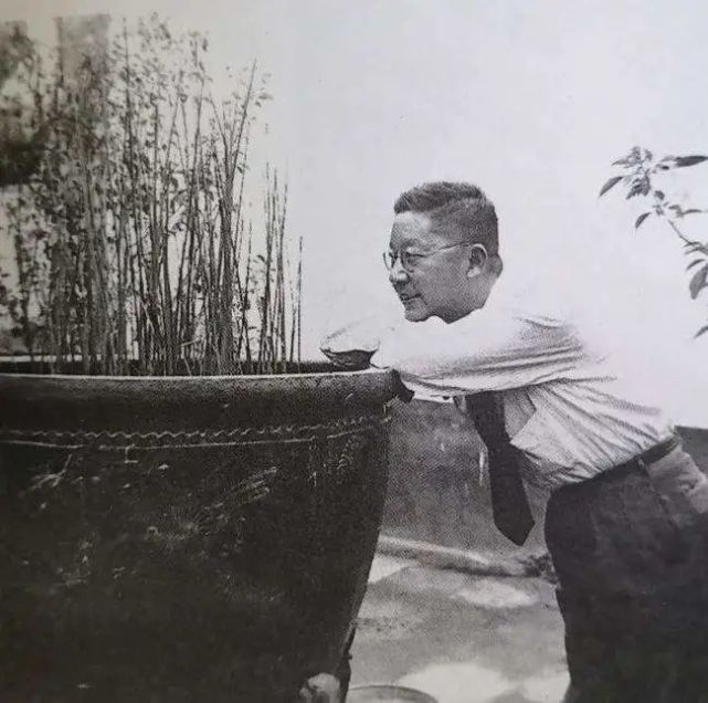 老舍真正的聪明人看起来都很笨