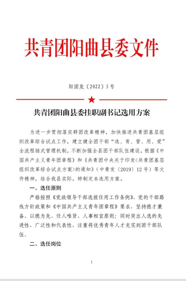 关于选任共青团阳曲县委挂职副书记的公告