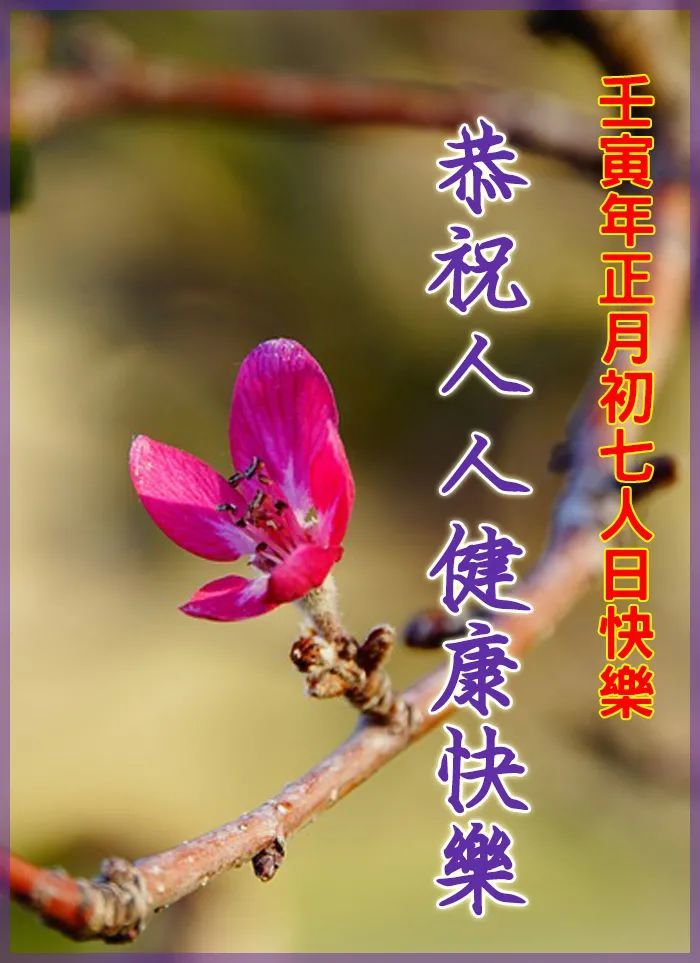 正月初七祝福语大年初七人日祝福图片