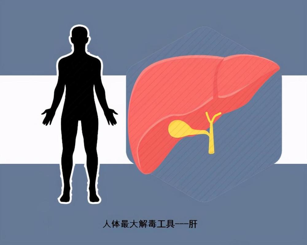 胡远忠乙肝为什么容易复发得在这5个方面好好反省