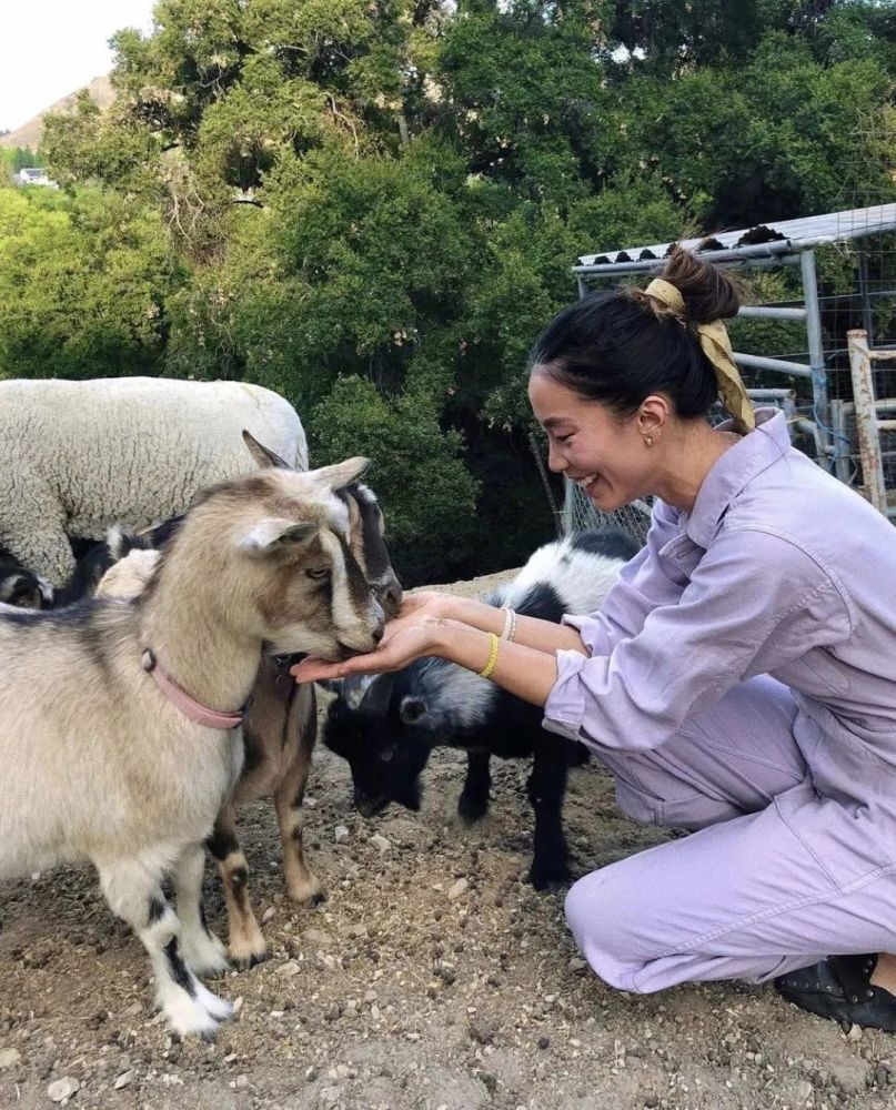 50岁阿姨早春穿搭真美，“大衣＋阔腿裤”好优雅，妈妈辈可以照穿义务教育八上音乐课本目录