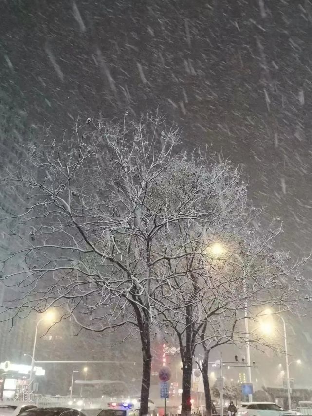 下雪天朋友圈摄影大赛有你没看到的雪