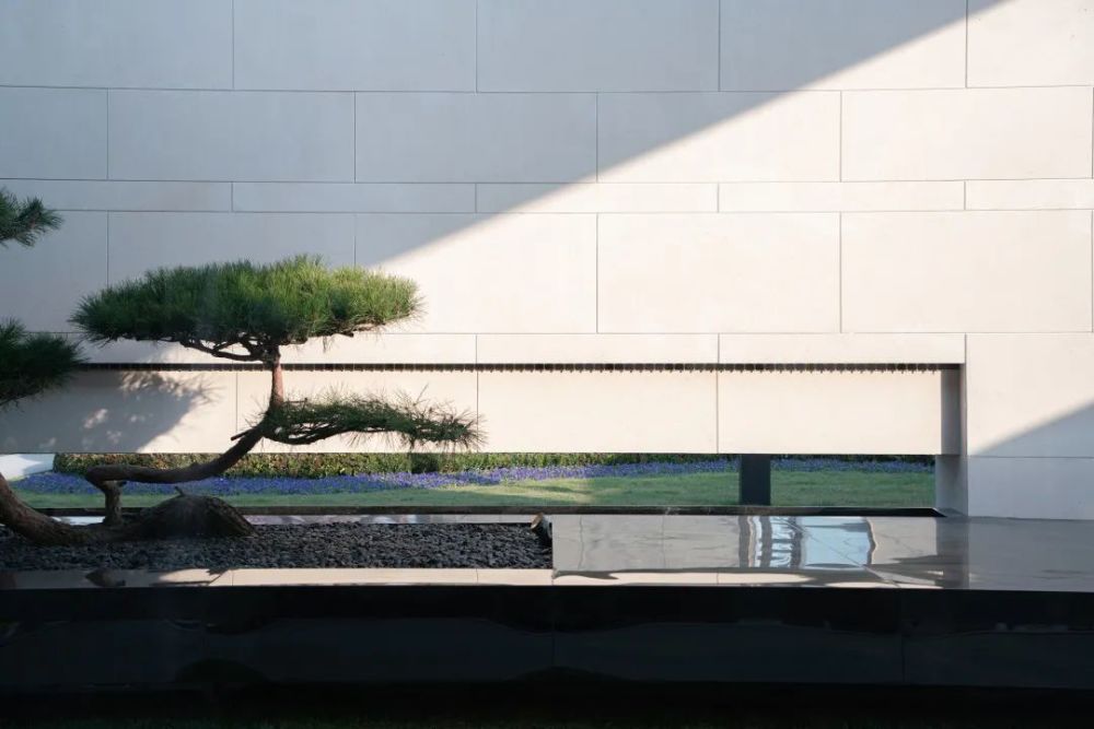 设计团队日清设计的创始人宋照清,山水比德主设计师马晓晨携手打造