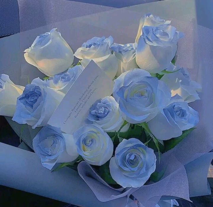 蓝色系背景图21世纪的玫瑰泛滥成灾浪漫随处可见