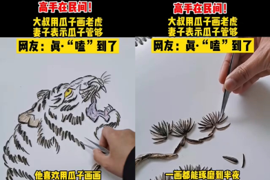 高手大叔嗑瓜子拼出巨幅老虎