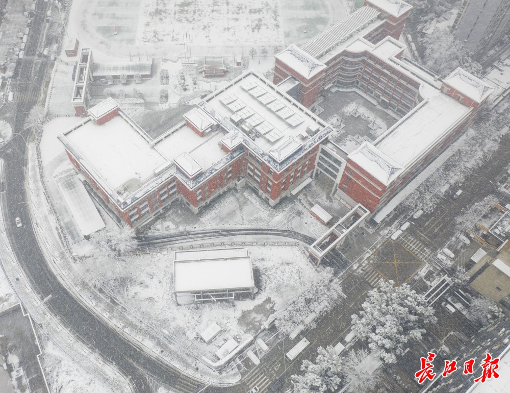 【资讯】 虎年迎初雪，武汉“银装素裹”武汉雪景,虎年银装素裹,长江日报报道