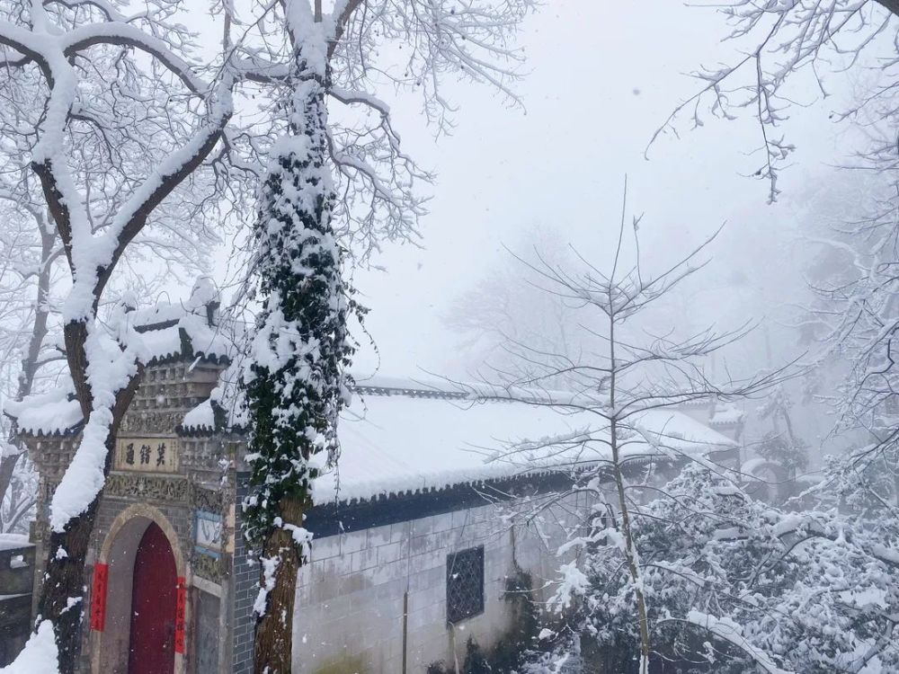 天下祖庭五祖寺 好雪片片 邀您同参 天天看点