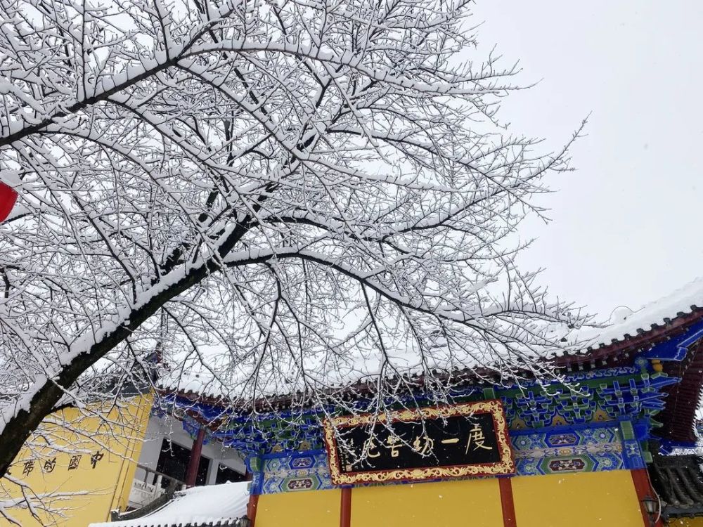 天下祖庭五祖寺 好雪片片 邀您同参 天天看点