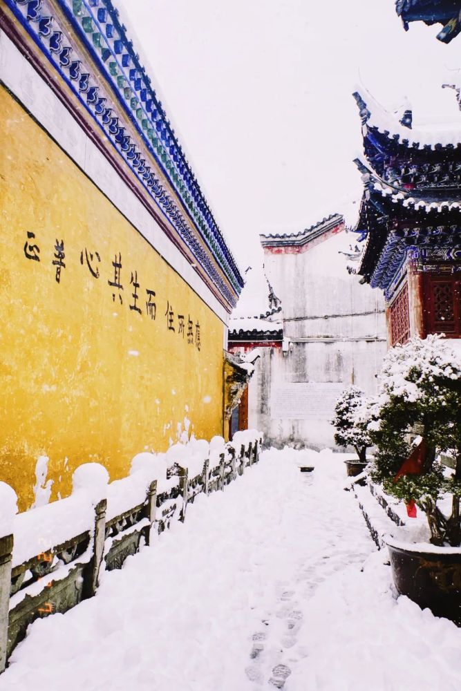 天下祖庭五祖寺 好雪片片 邀您同参 天天看点