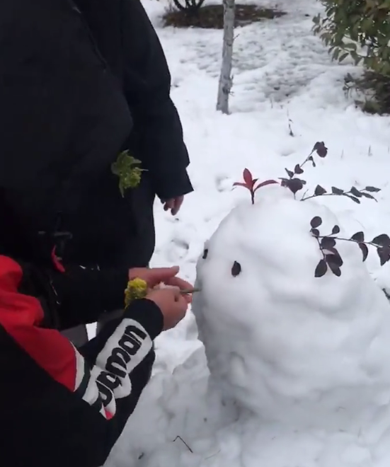 最后在一家人的努力下,还是成功地完成了任务,把雪球堆了起来.