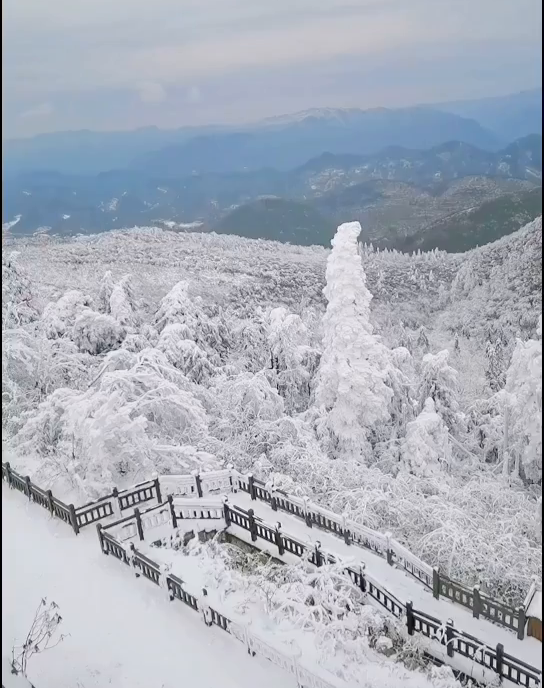 石柱下雪啦!朋友圈刷屏:瑞雪兆丰年!