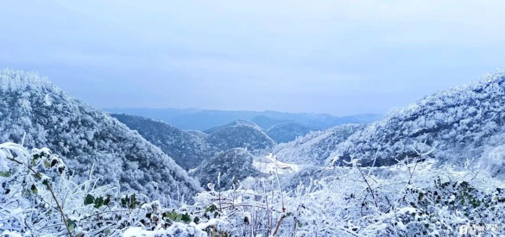 石柱下雪啦朋友圈刷屏瑞雪兆丰年