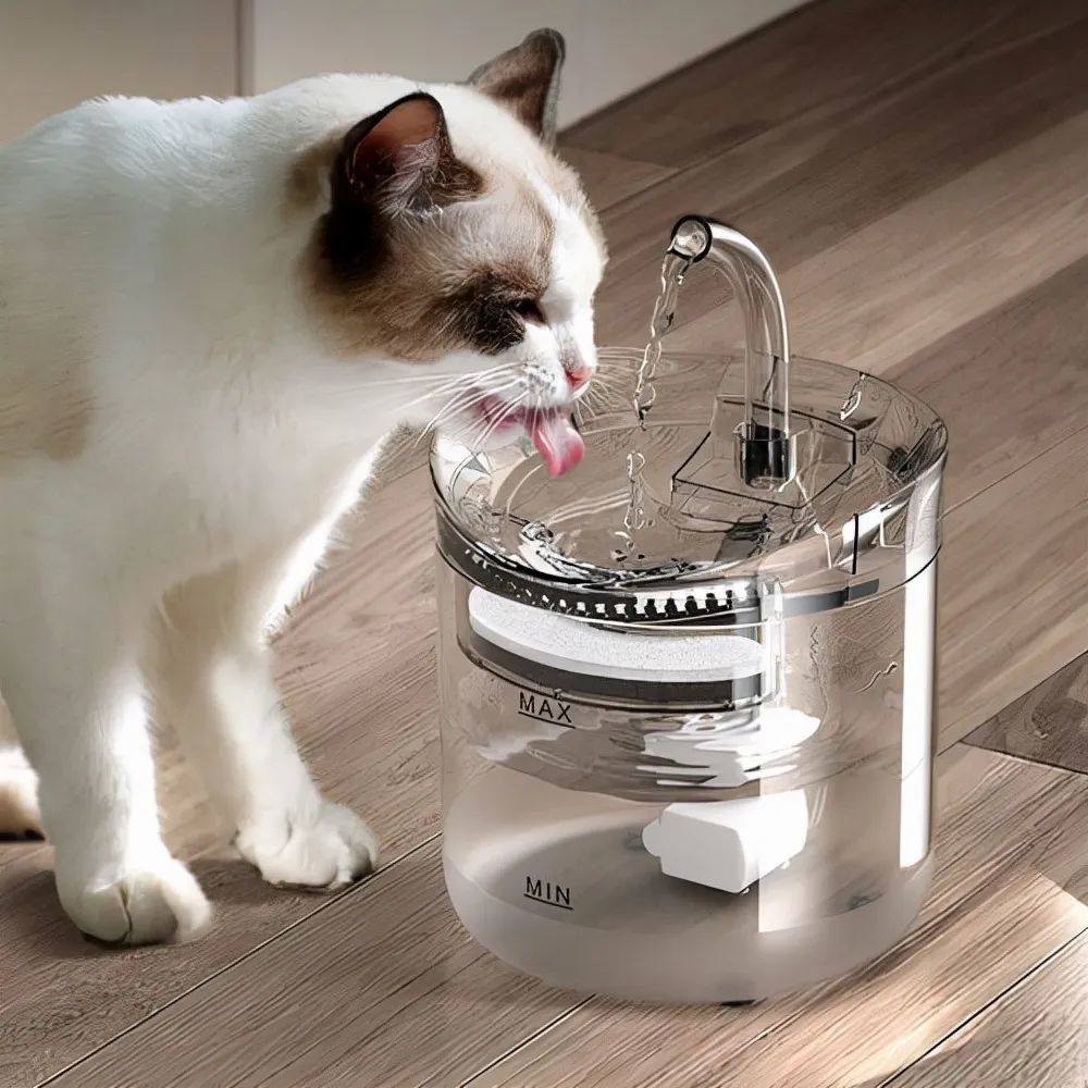 猫咪不爱喝水怎么办教你一些小技巧