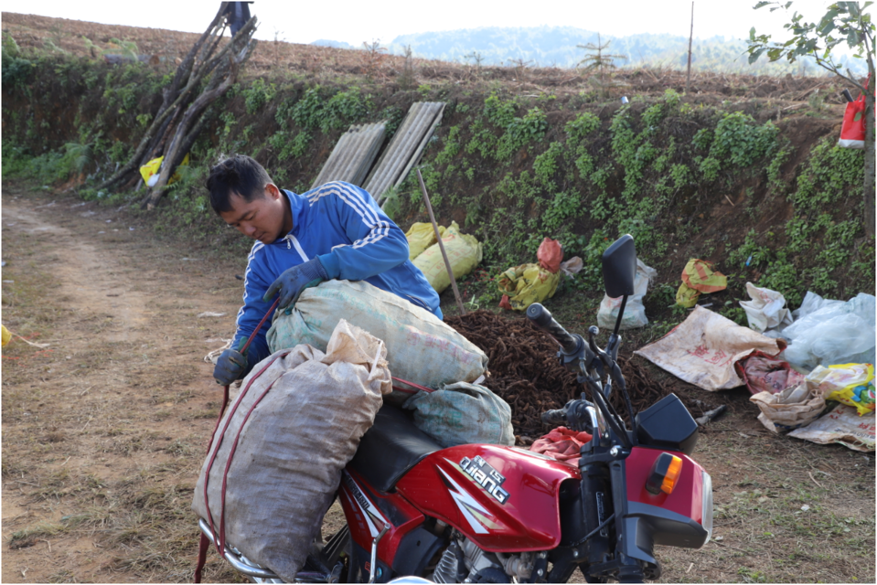 【新春走基层】红河县垤玛乡:冬闲人不闲 产兴业更旺