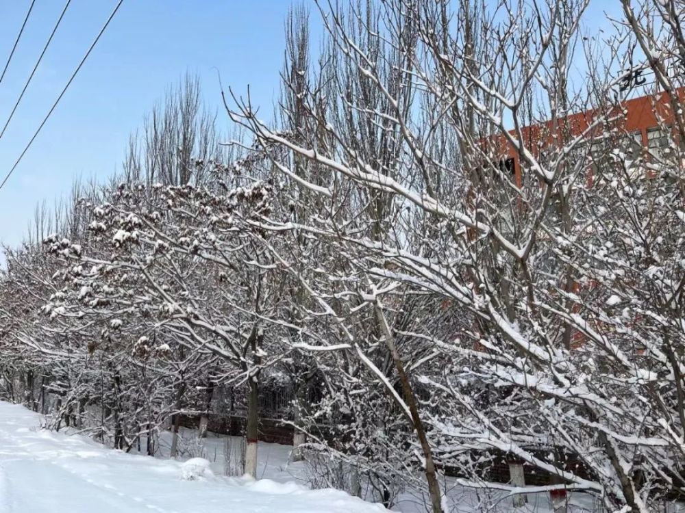 小夥伴們紛紛被銀裝素裹的美景一覺醒來瑞雪如約而至留住海勃灣的雪