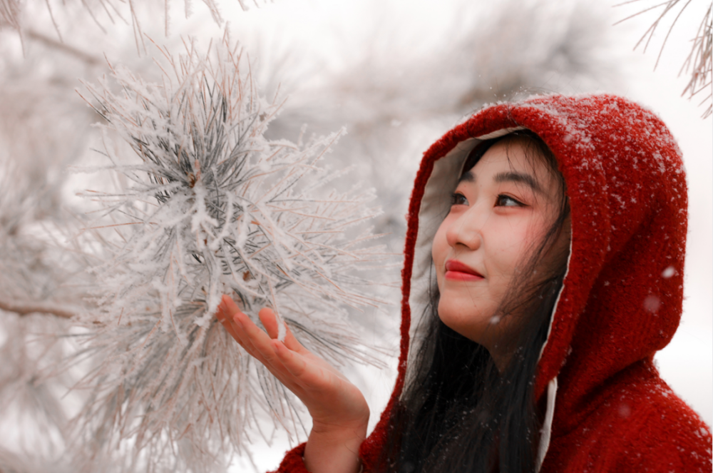 瑞雪兆豐年丨飛雪帶春風素雪覆玉門