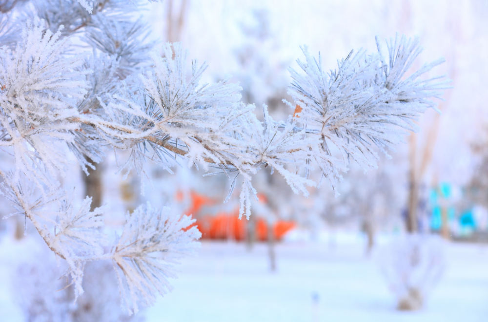 瑞雪兆豐年丨飛雪帶春風素雪覆玉門