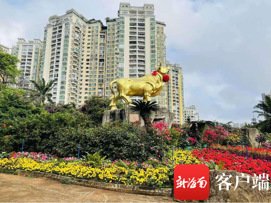 2022年春节黄金周海南旅游揽金753亿元接待游客54113万人次