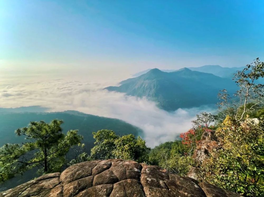 美景普洱版只此青綠畫面極度舒適