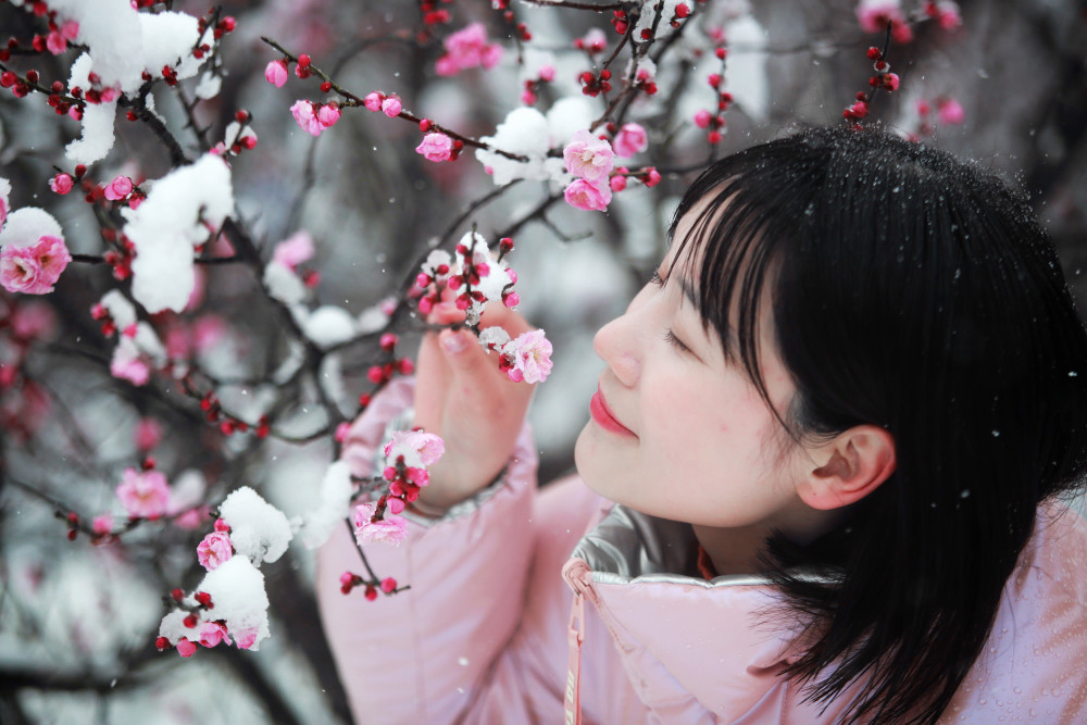 2月7日,在江苏扬州瘦西湖风景区,游人在雪中赏梅.