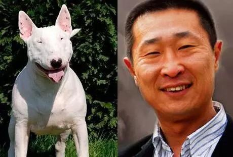 说完红雷哥,黄渤老师当然不会被落下,好兄弟当然要手牵手向前走~咱渤